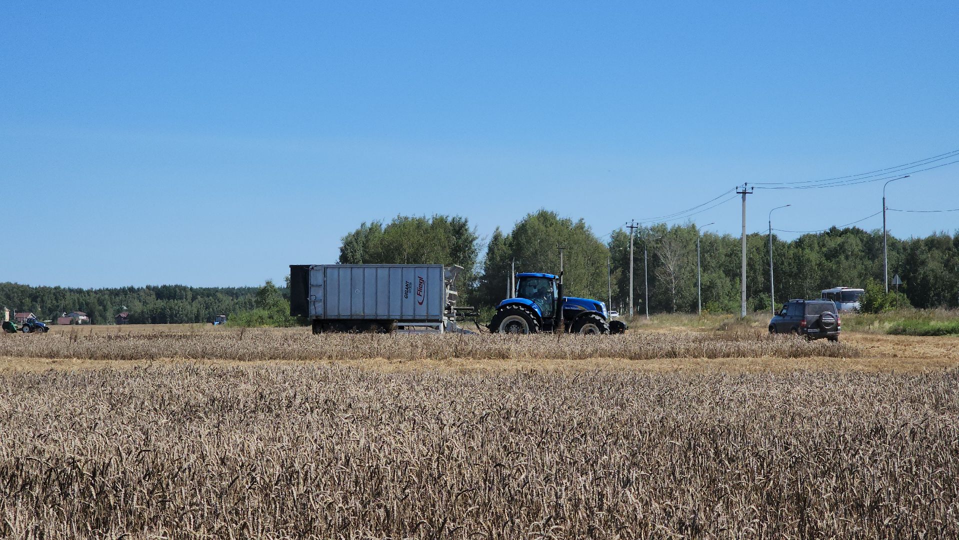 сельское хозяйство, уборка урожая, сельскохозяйственные культуры, Обухово, Богородский городской округ,