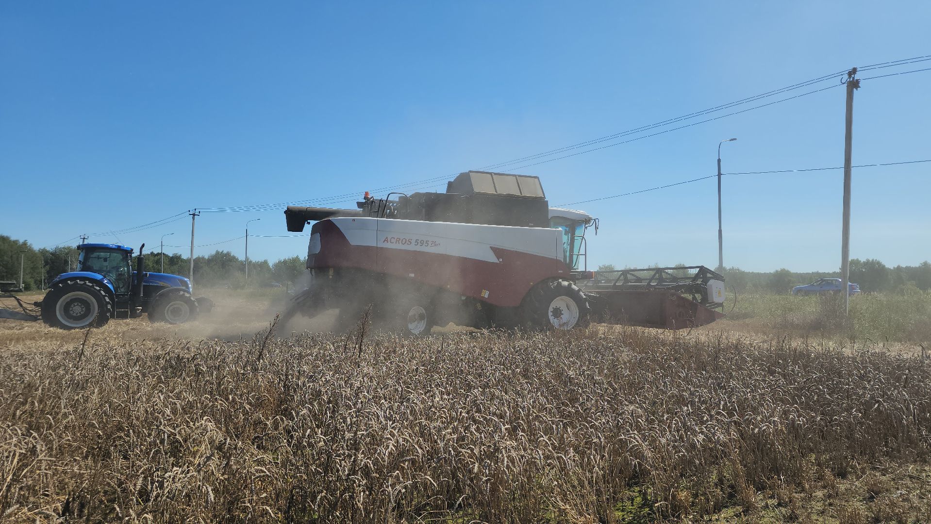 сельское хозяйство, уборка урожая, сельскохозяйственные культуры, Обухово, Богородский городской округ,