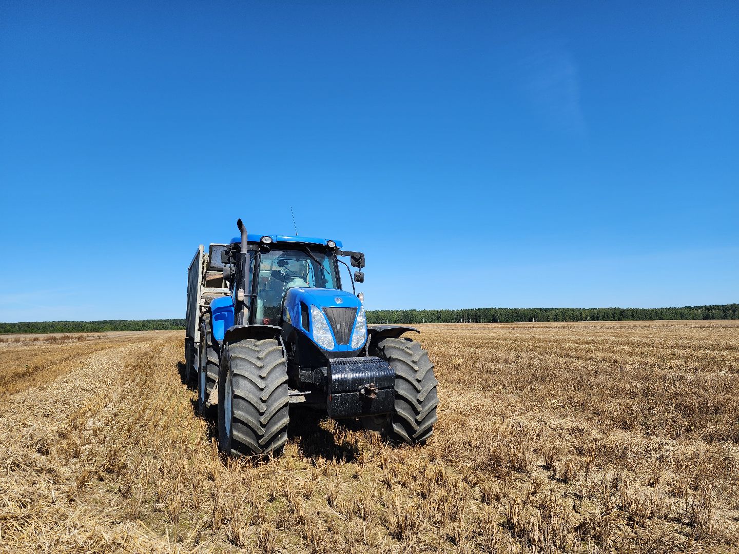 сельское хозяйство, уборка урожая, сельскохозяйственные культуры, Обухово, Богородский городской округ,