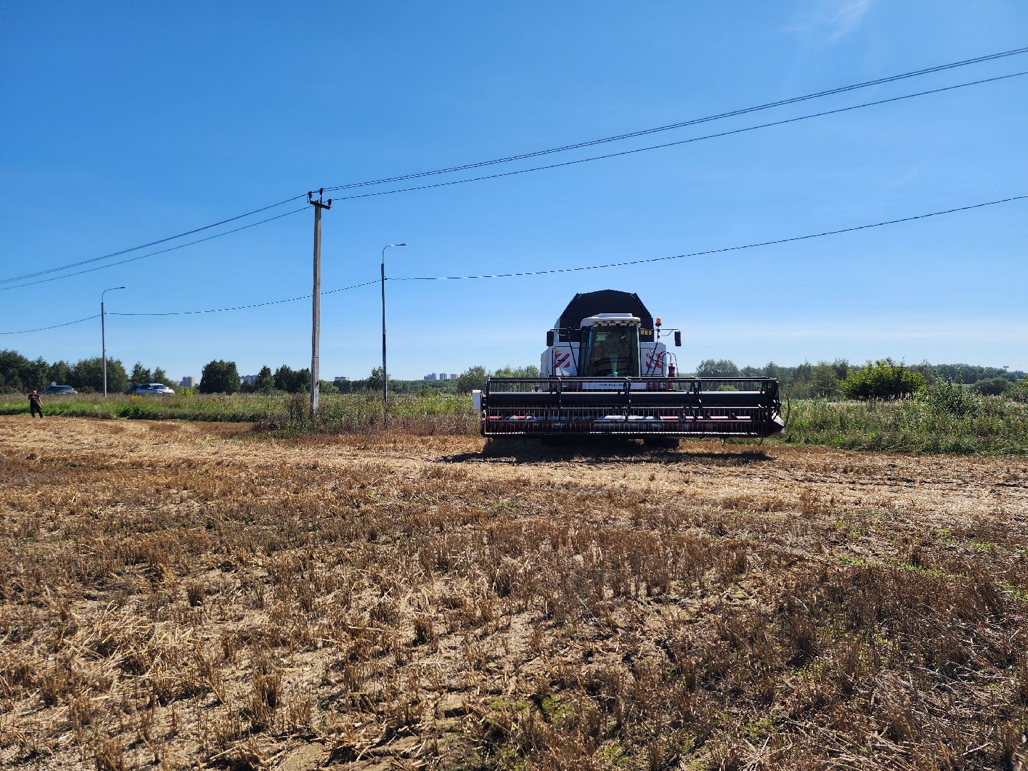 сельское хозяйство, уборка урожая, сельскохозяйственные культуры, Обухово, Богородский городской округ,