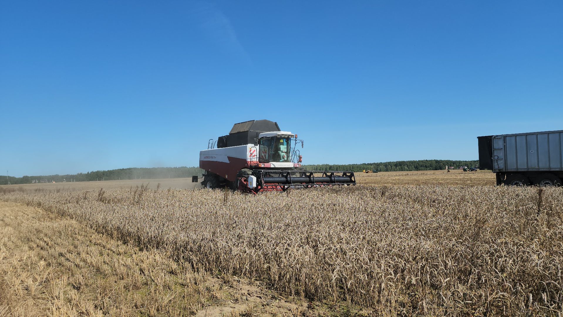 сельское хозяйство, уборка урожая, сельскохозяйственные культуры, Обухово, Богородский городской округ,