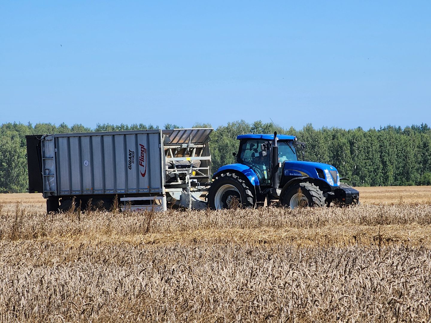 сельское хозяйство, уборка урожая, сельскохозяйственные культуры, Обухово, Богородский городской округ,