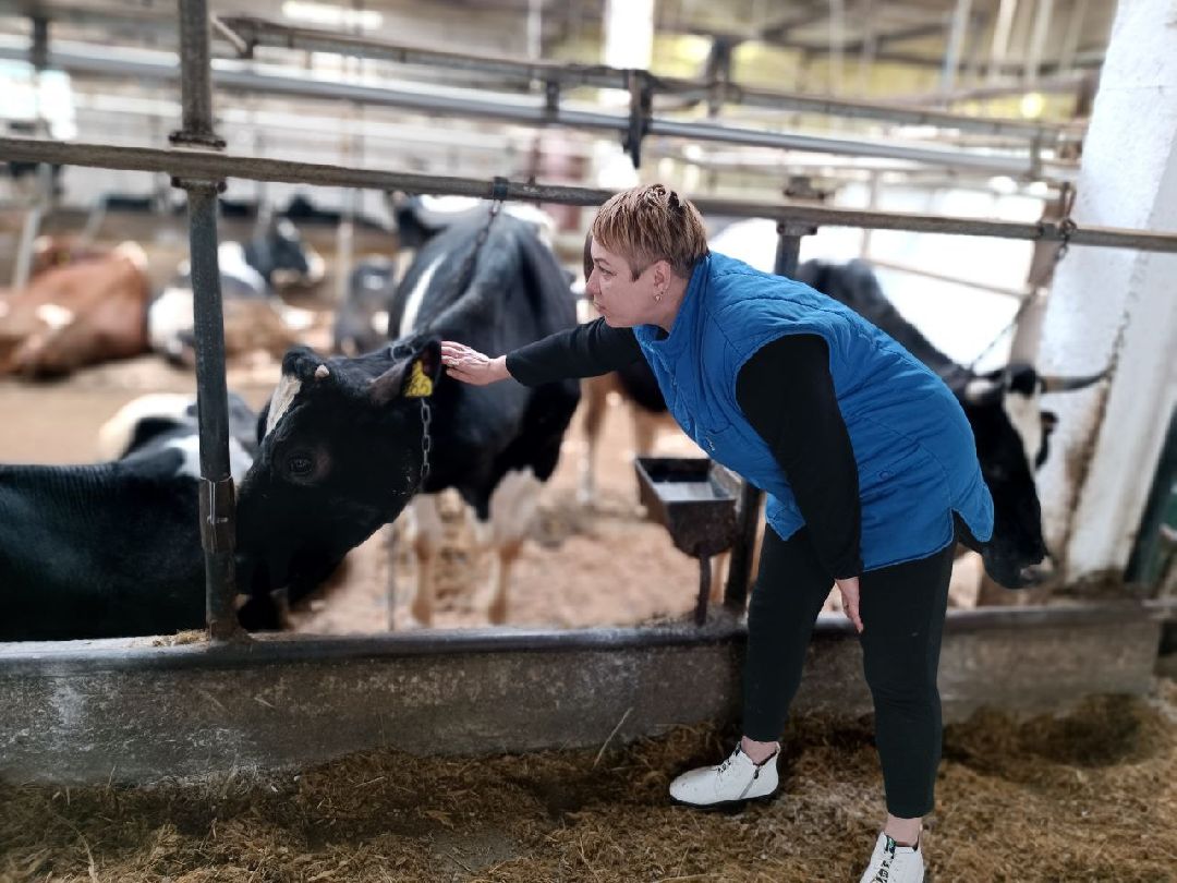 Можайск, общество