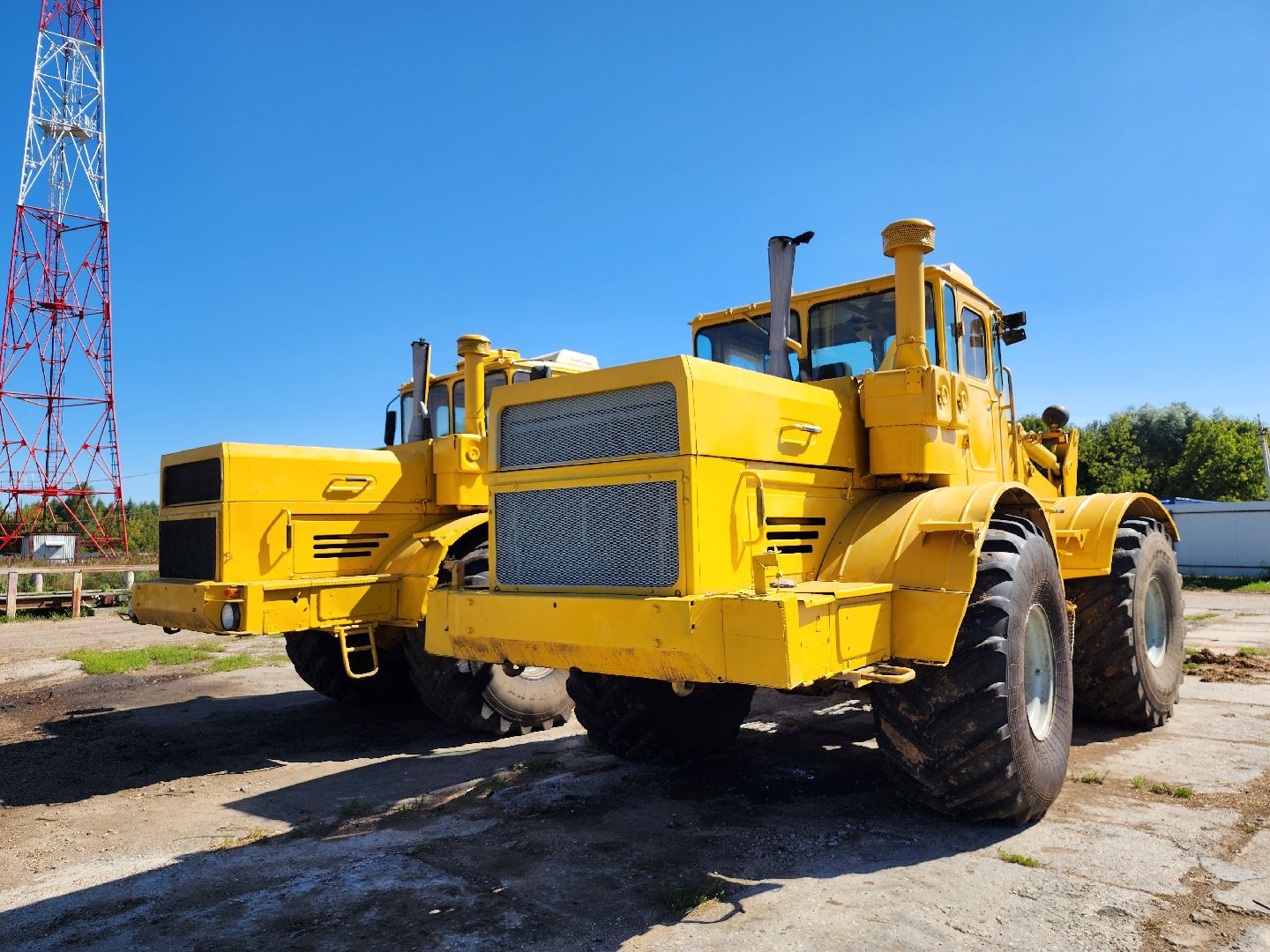 вандализм на полях, воровство на полях, сельское хозяйство, Обухово, Богородский городской окрцг,