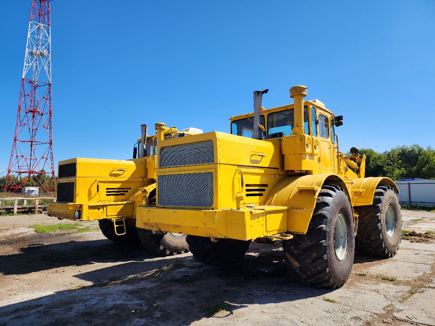 вандализм на полях, воровство на полях, сельское хозяйство, Обухово, Богородский городской окрцг,