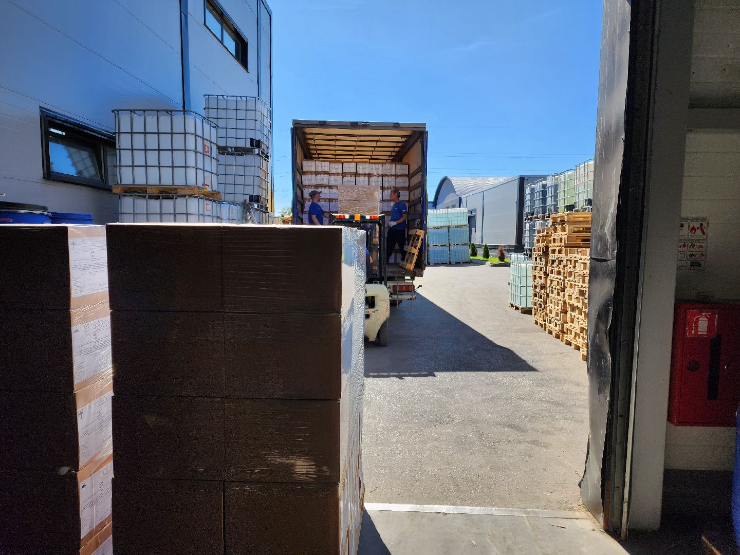 красноармейск, городской округ пушкинский, армия 2024, форум, сухие души,