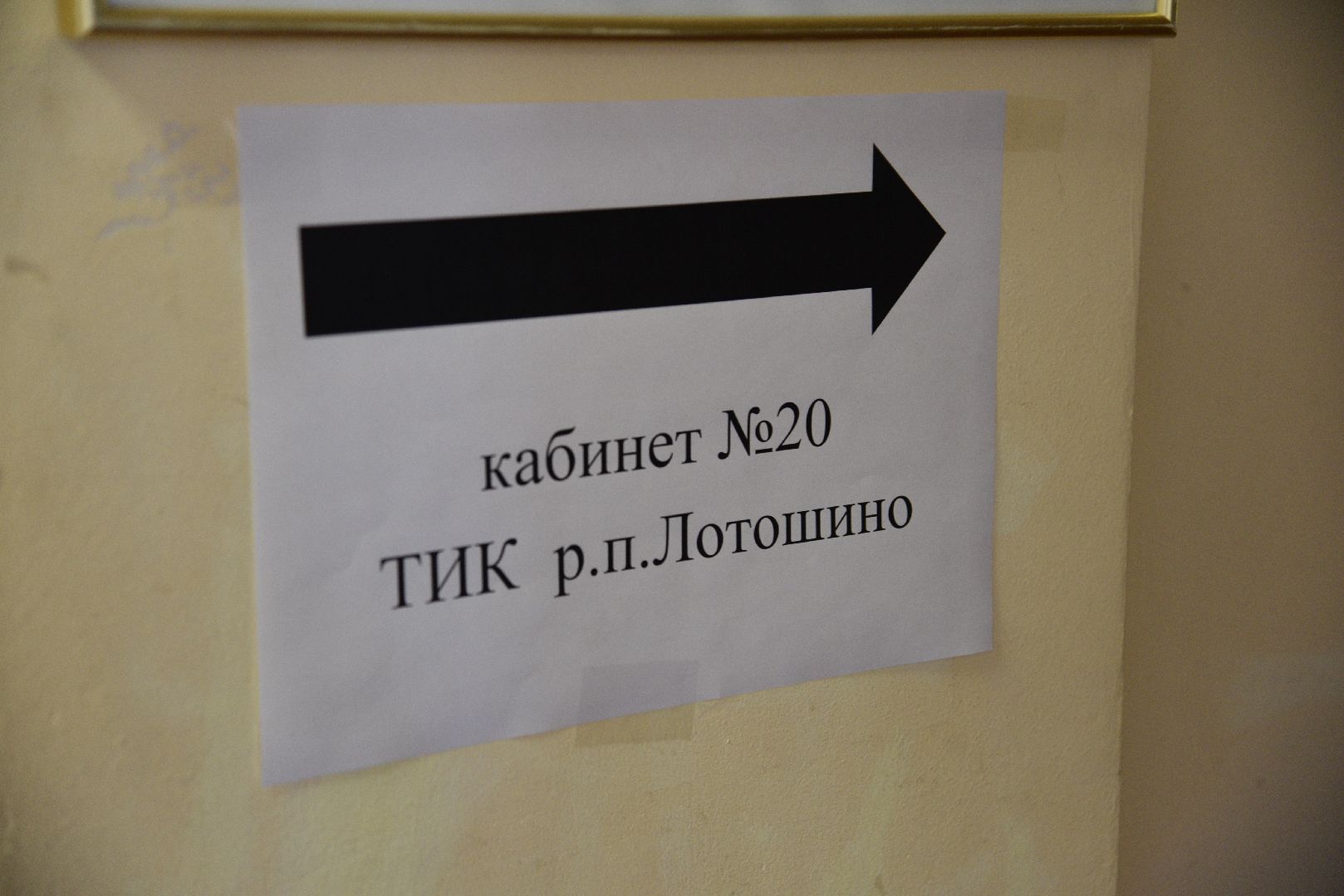 лотошино, выборы 2024, выборы депутатов совета депутатов, тик,
