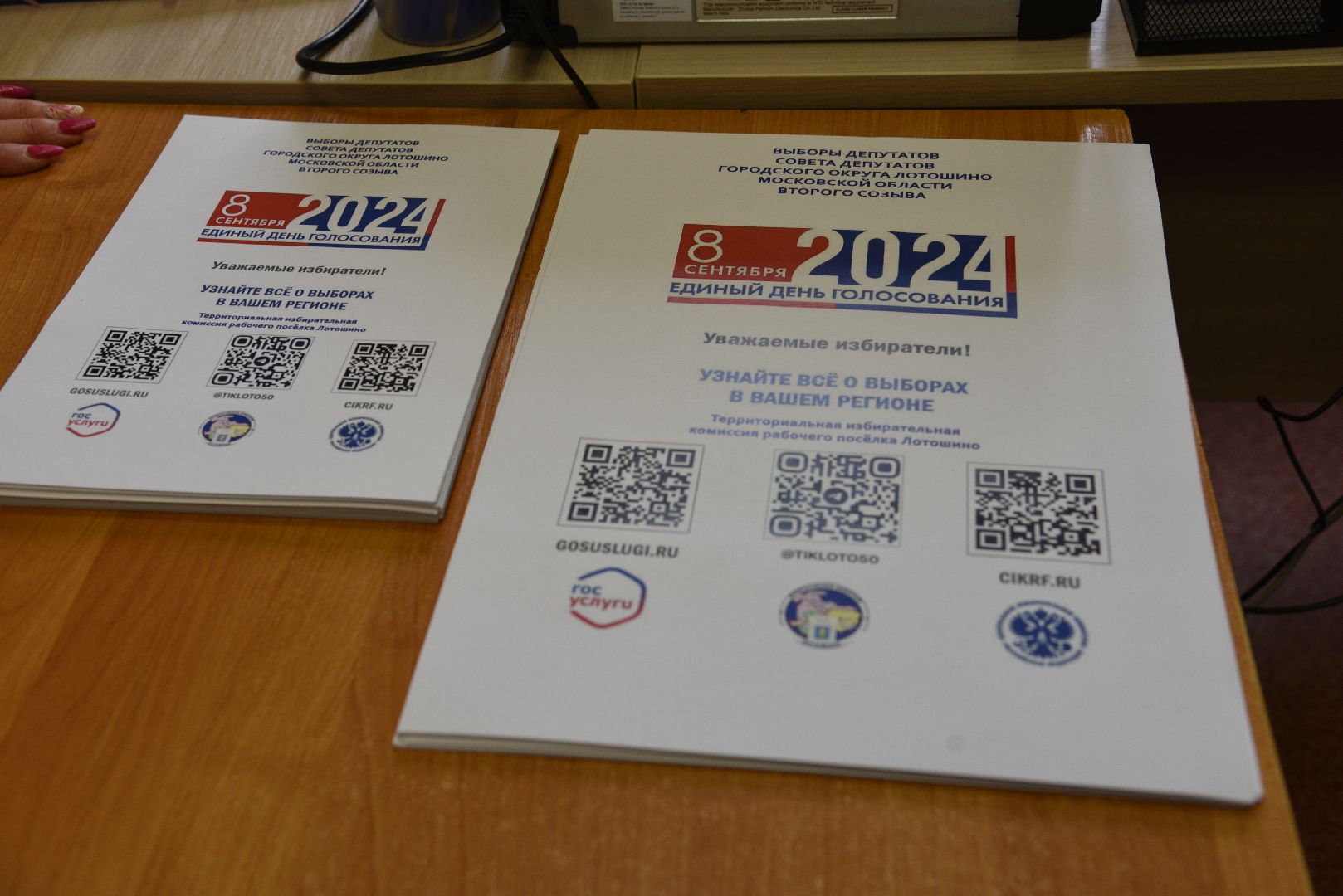 лотошино, выборы 2024, выборы депутатов совета депутатов, тик,