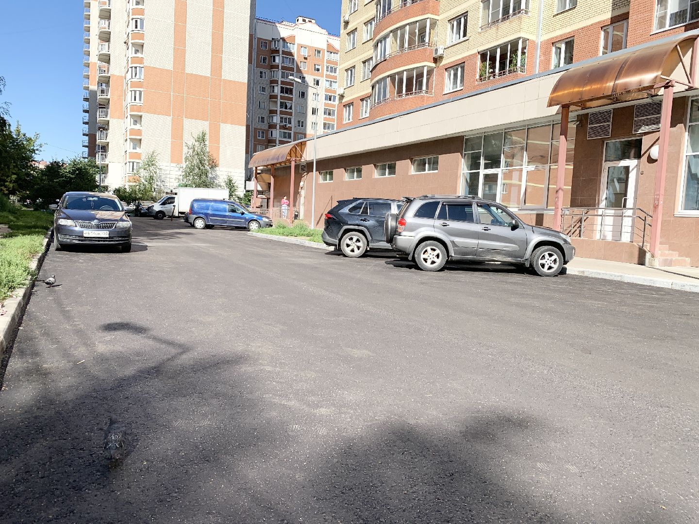 Балашиха, Подмосковье, благоустройство дворов, озеленение двора, высадка сирени, высадка кустарников,