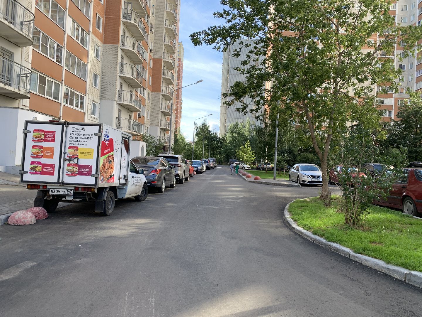 Балашиха, Подмосковье, благоустройство дворов, озеленение двора, высадка сирени, высадка кустарников,