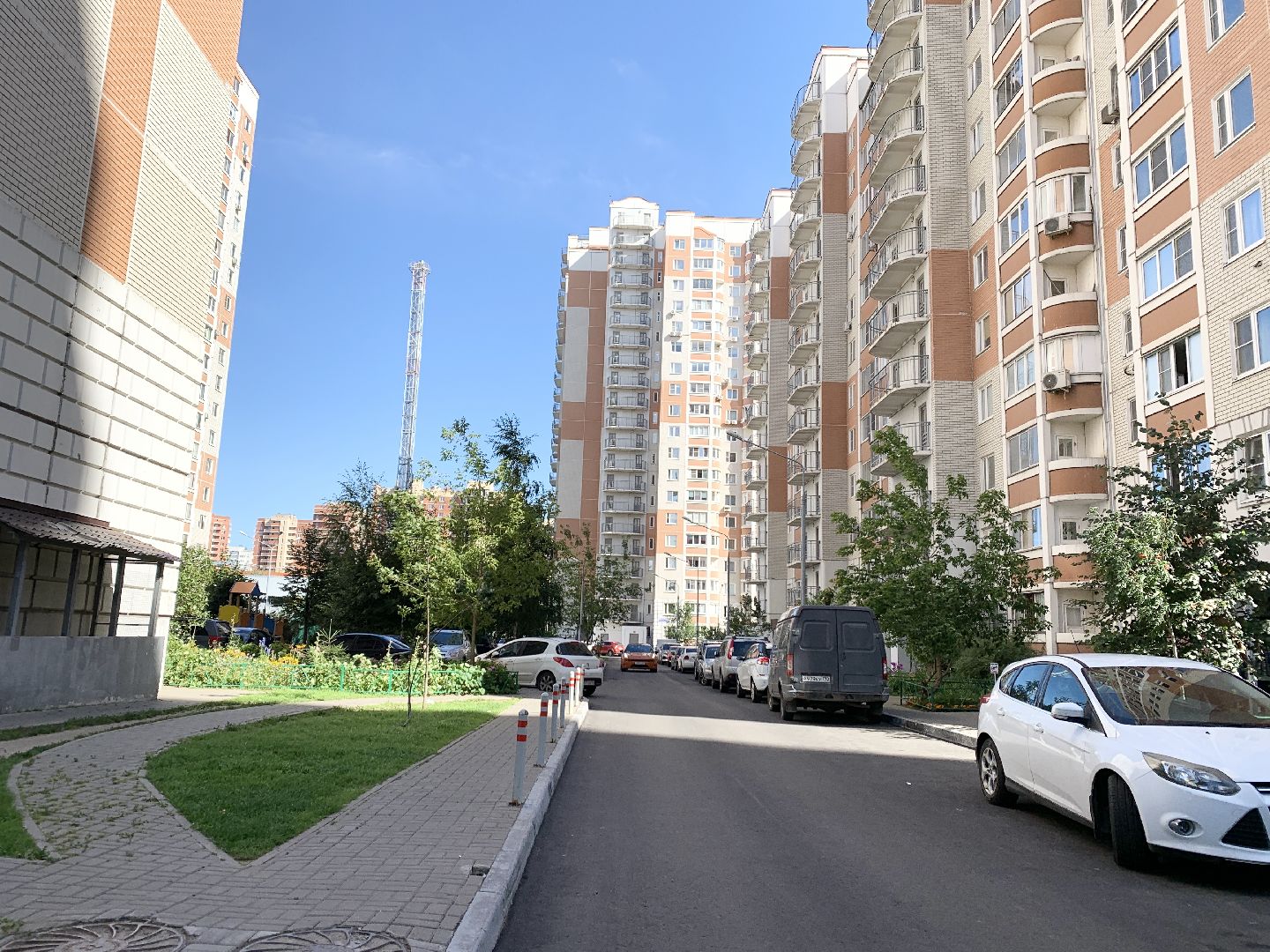 Балашиха, Подмосковье, благоустройство дворов, озеленение двора, высадка сирени, высадка кустарников,