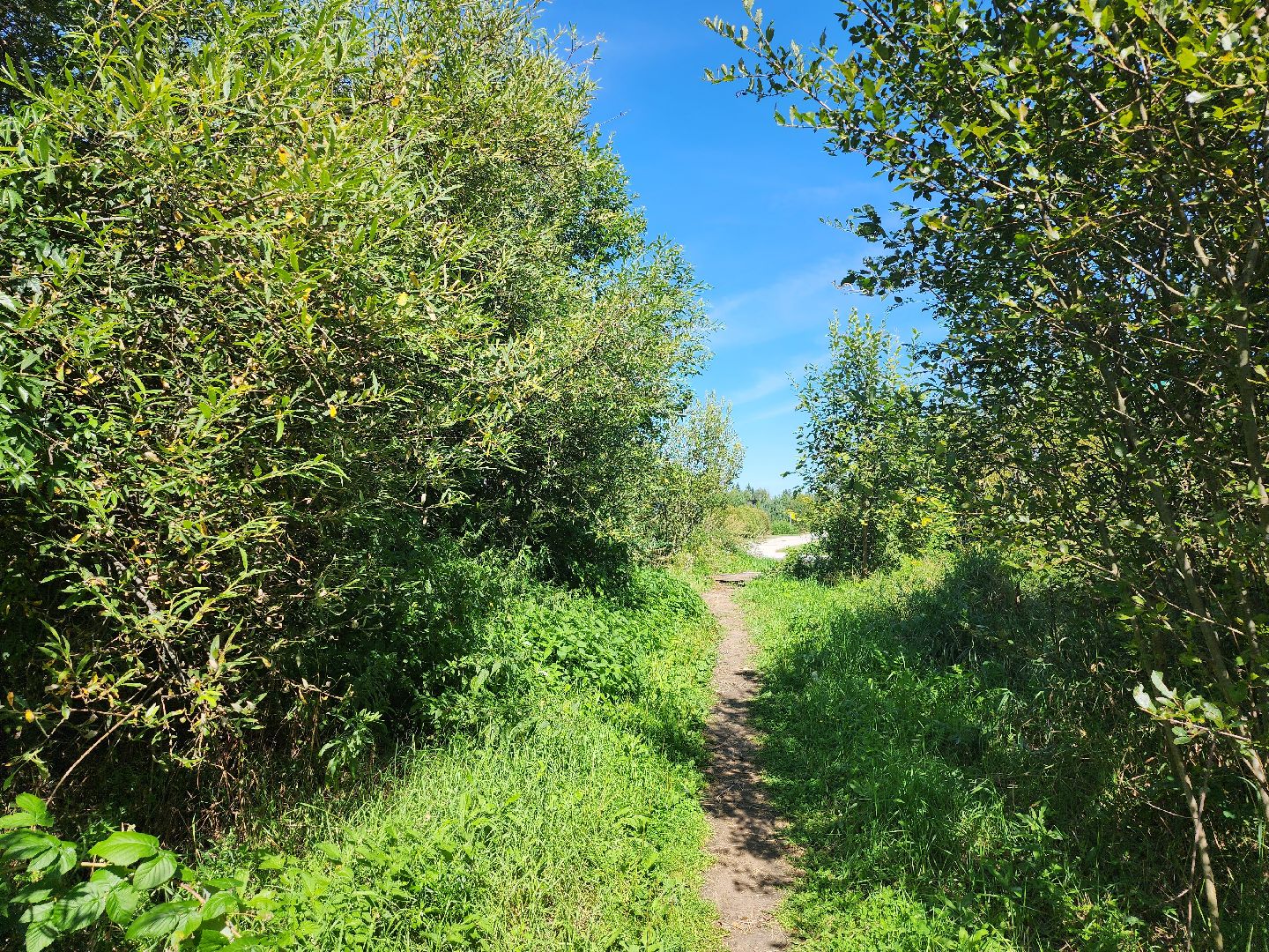 Дубна, выездная администрация, Благоустройство, Глава,