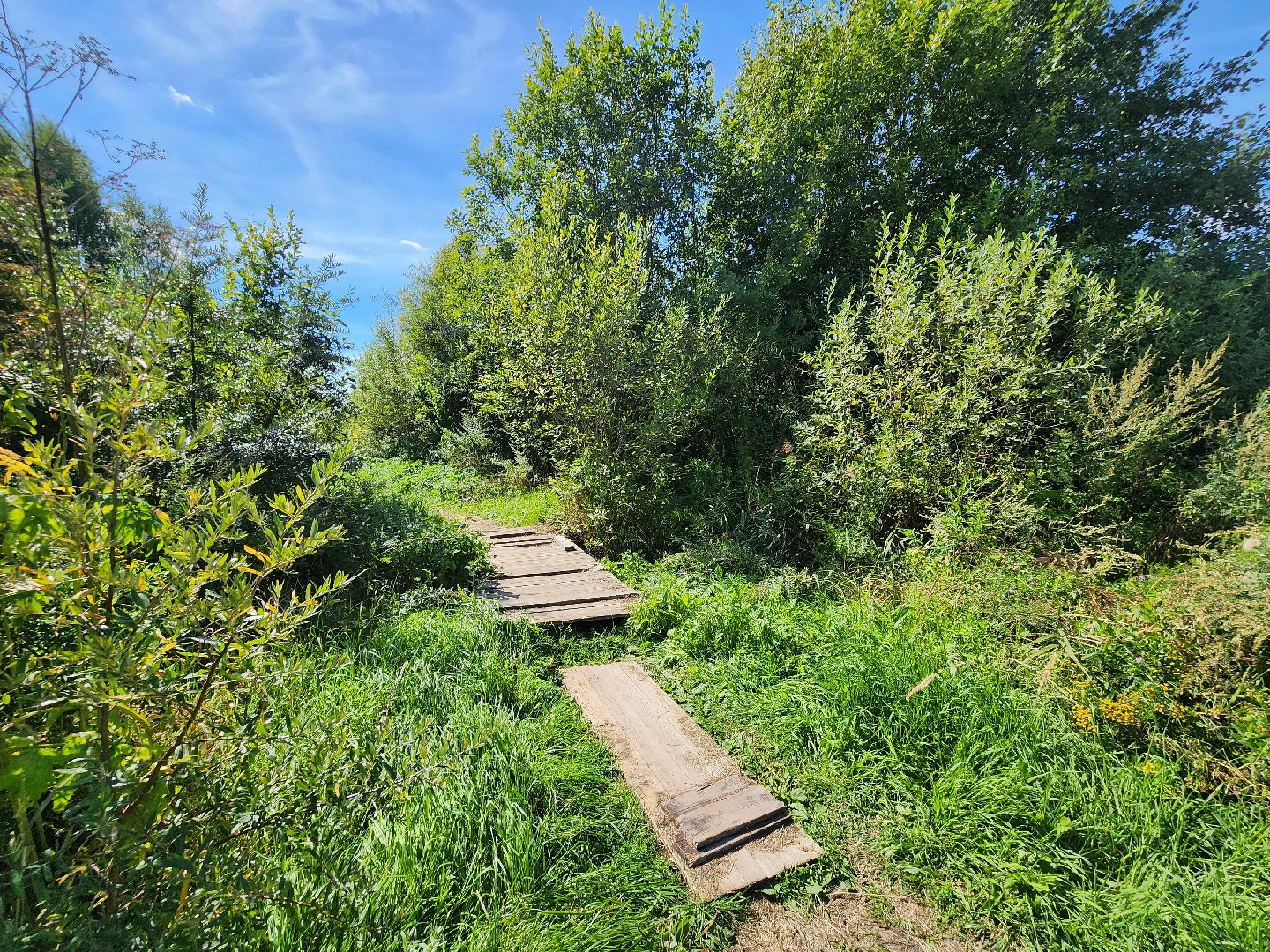 Дубна, выездная администрация, Благоустройство, Глава,