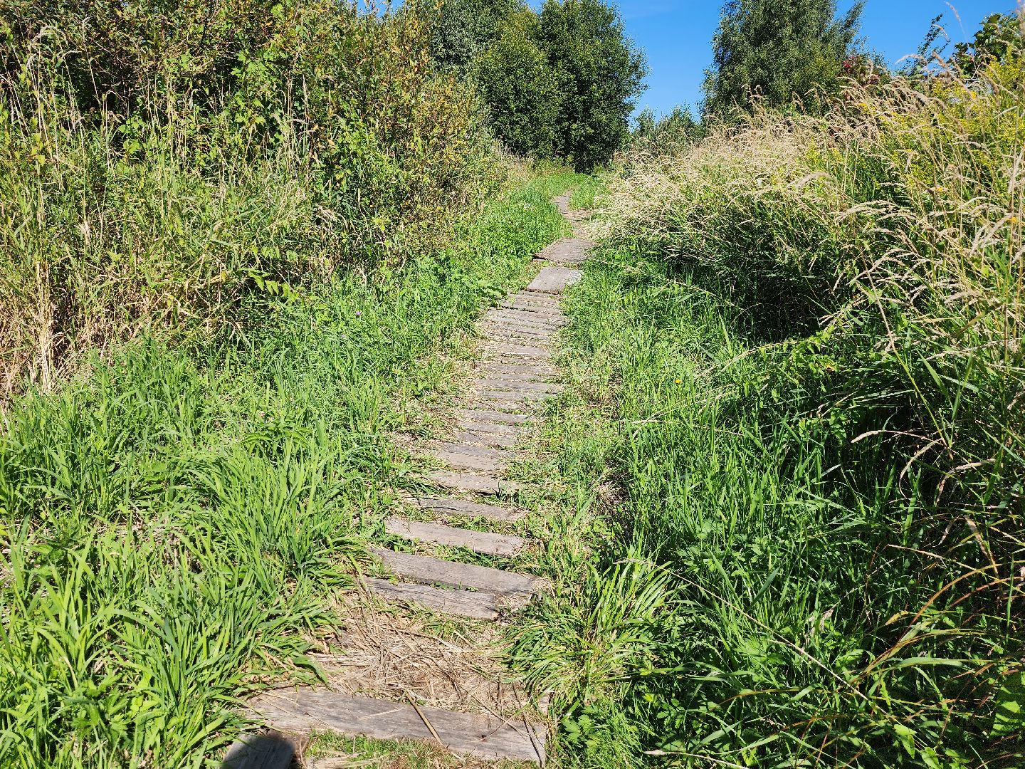 Дубна, выездная администрация, Благоустройство, Глава,