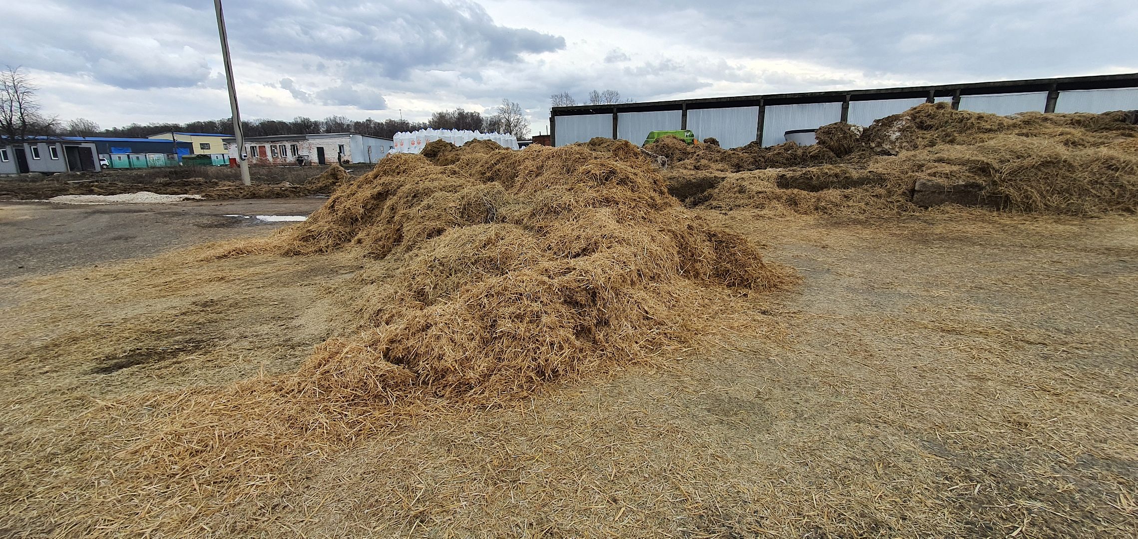 Минсельхоз, племзавод Повадино, новая ферма