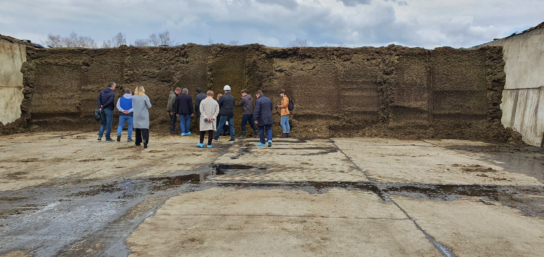 Минсельхоз, племзавод Повадино, новая ферма