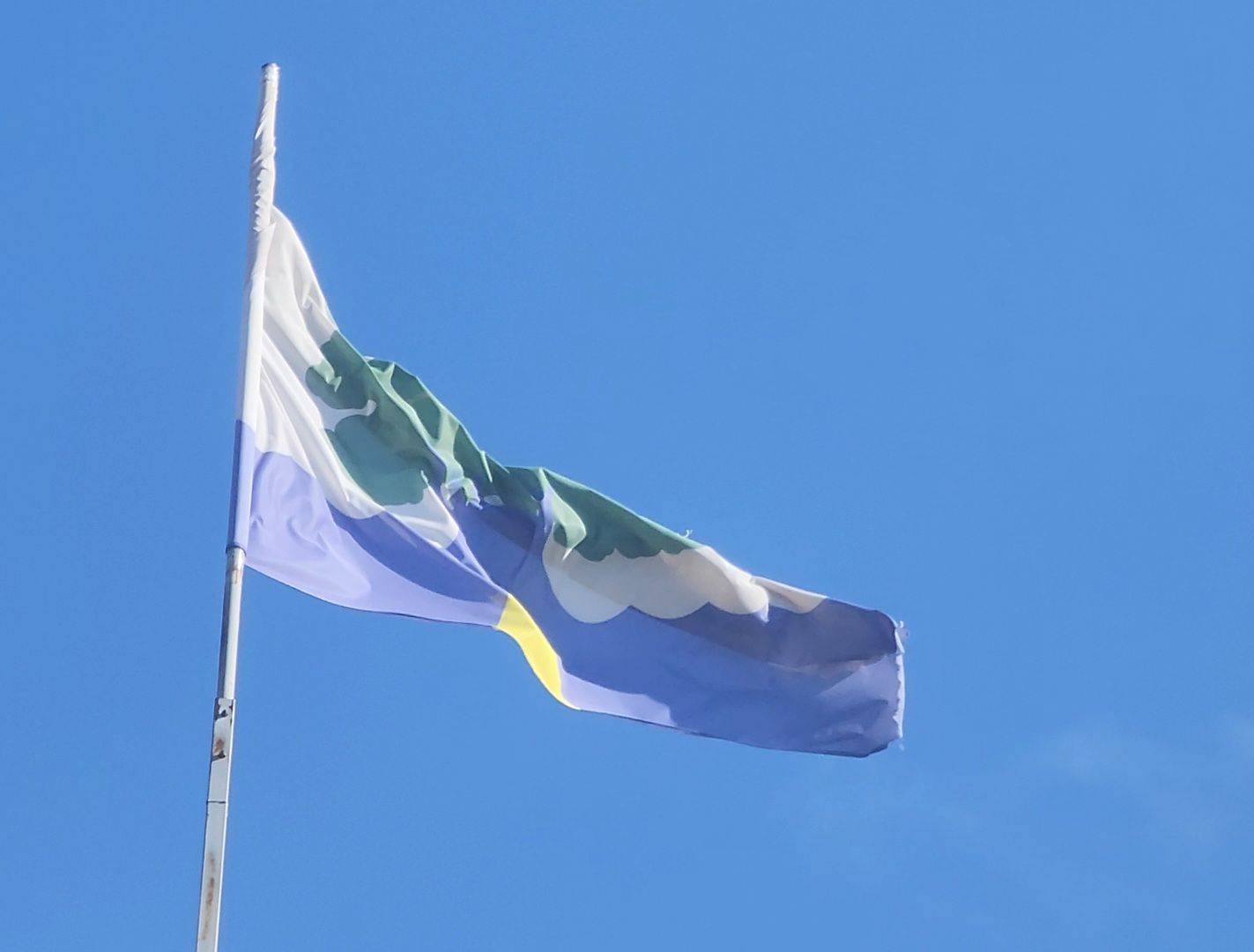 Дубна, территориальная избирательная комиссия, Совет депутатов, выборы, Схема избирательных округов,