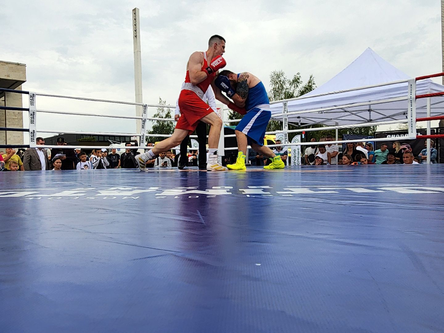 бокс в бронницах, спорт в подмосковье, спортивное мероприятие, мытищи,