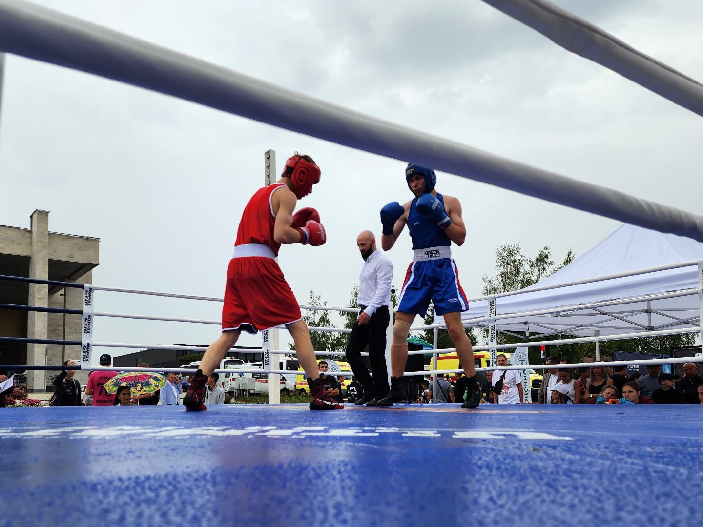бокс в бронницах, спорт в подмосковье, спортивное мероприятие, мытищи,