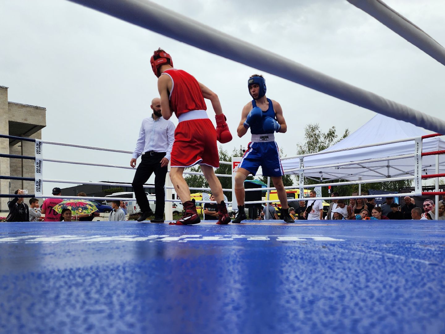 бокс в бронницах, спорт в подмосковье, спортивное мероприятие, мытищи,