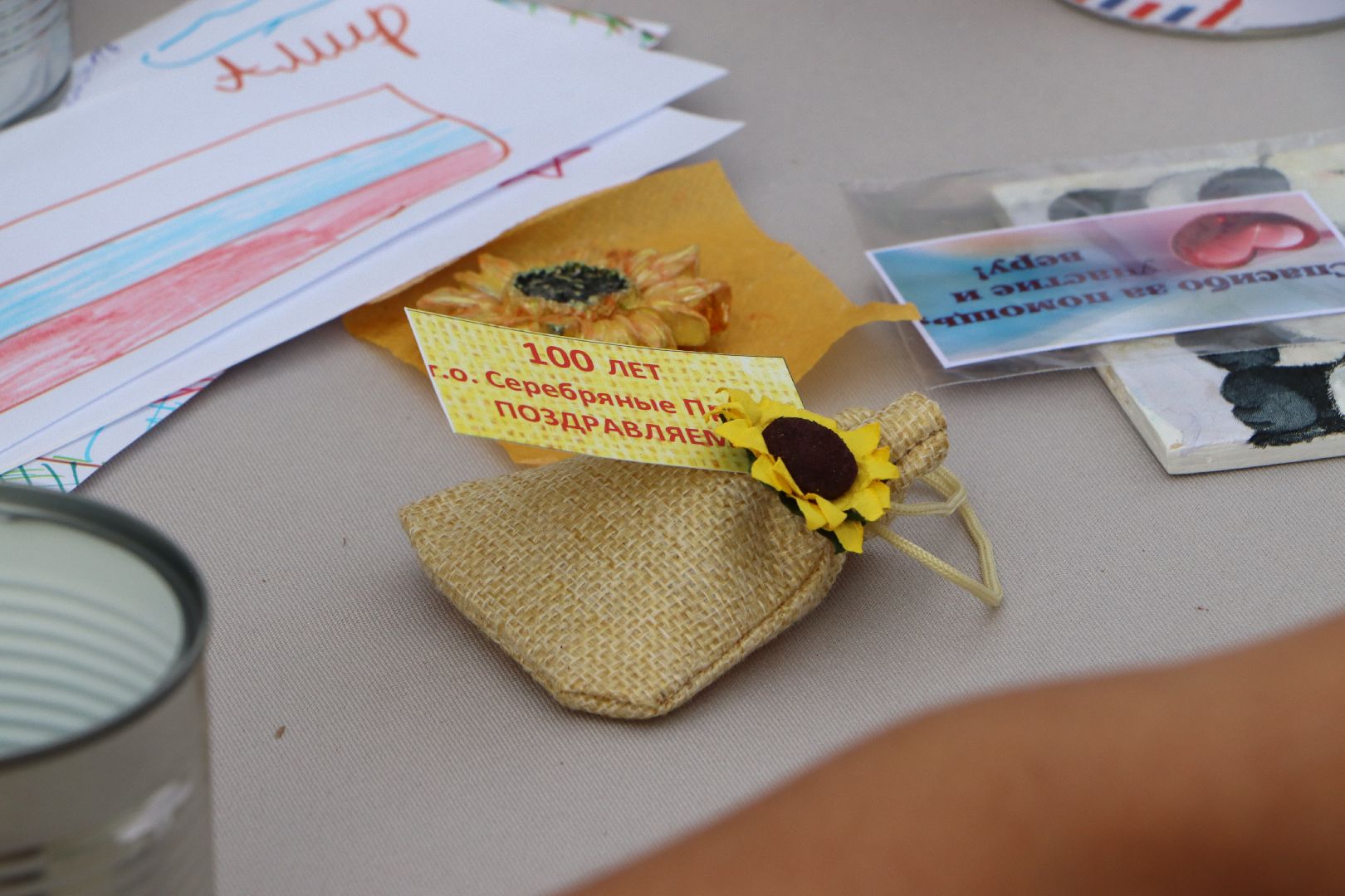 серебряные пруды, 100 лет серебряно-прудскому району, день города 2024, парк серебряный, волонтерский центр, своихнебросаем, помощь фронту,