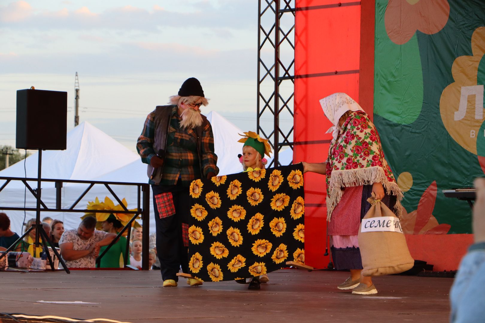 Комплексный центр социального обслуживания и реабилитации Серебряно-Прудский, серебряные пруды, парк серебряный, подсолнух, день города 2024, 100 лет серебряно-прудскому району,