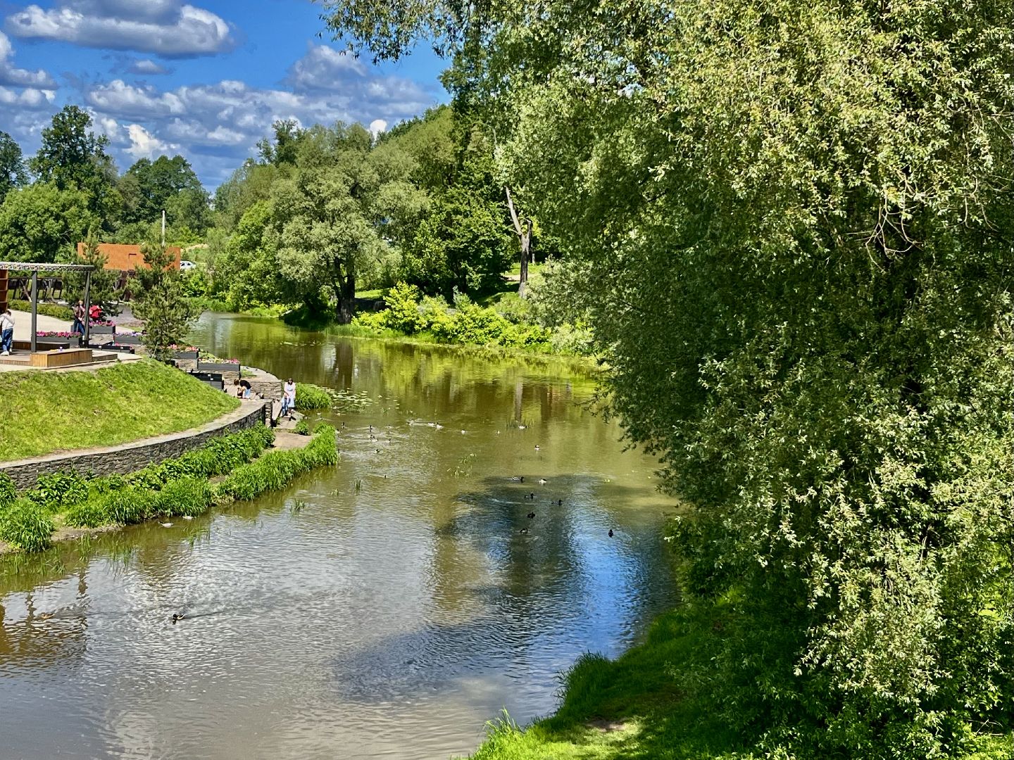 наро-фоминск, живая река, экологическая акция живая река, наро-фоминский городской округ,