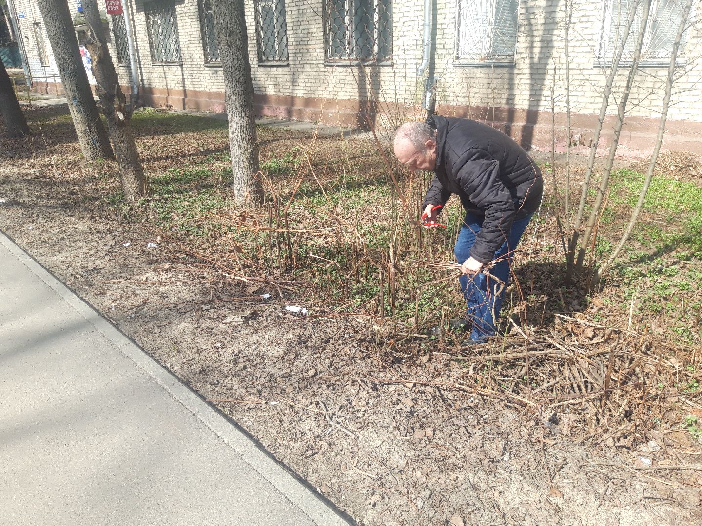 пенсионеры, доброе дело,