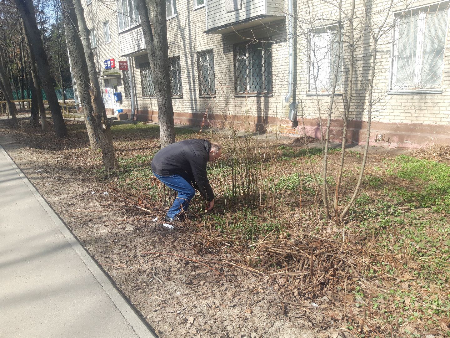 пенсионеры, доброе дело,