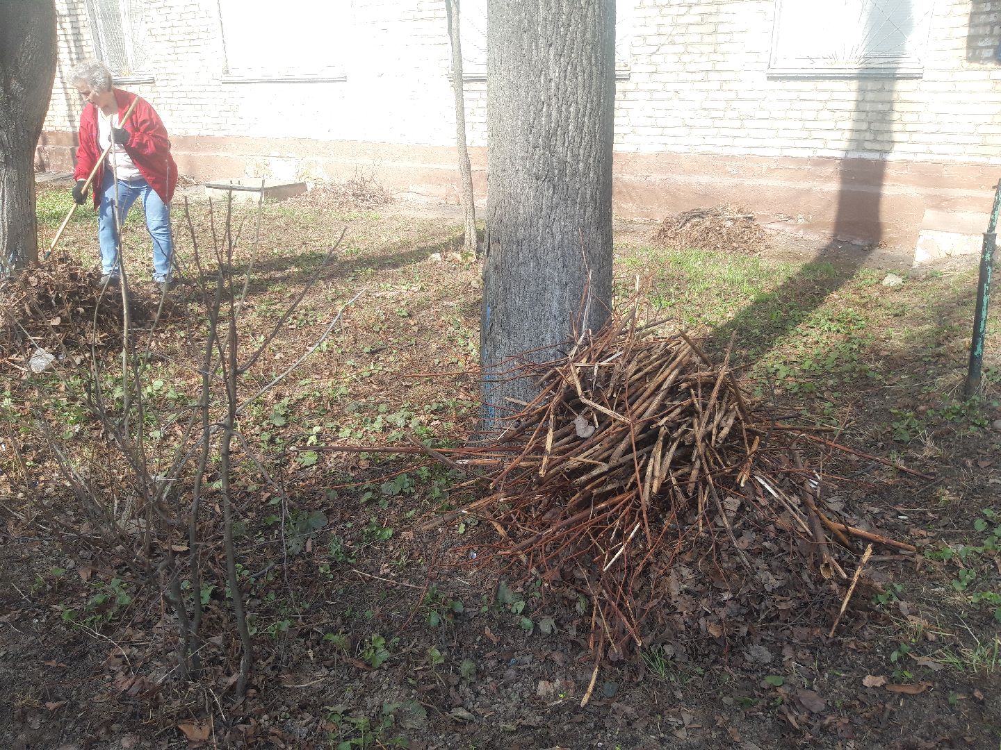 пенсионеры, доброе дело,