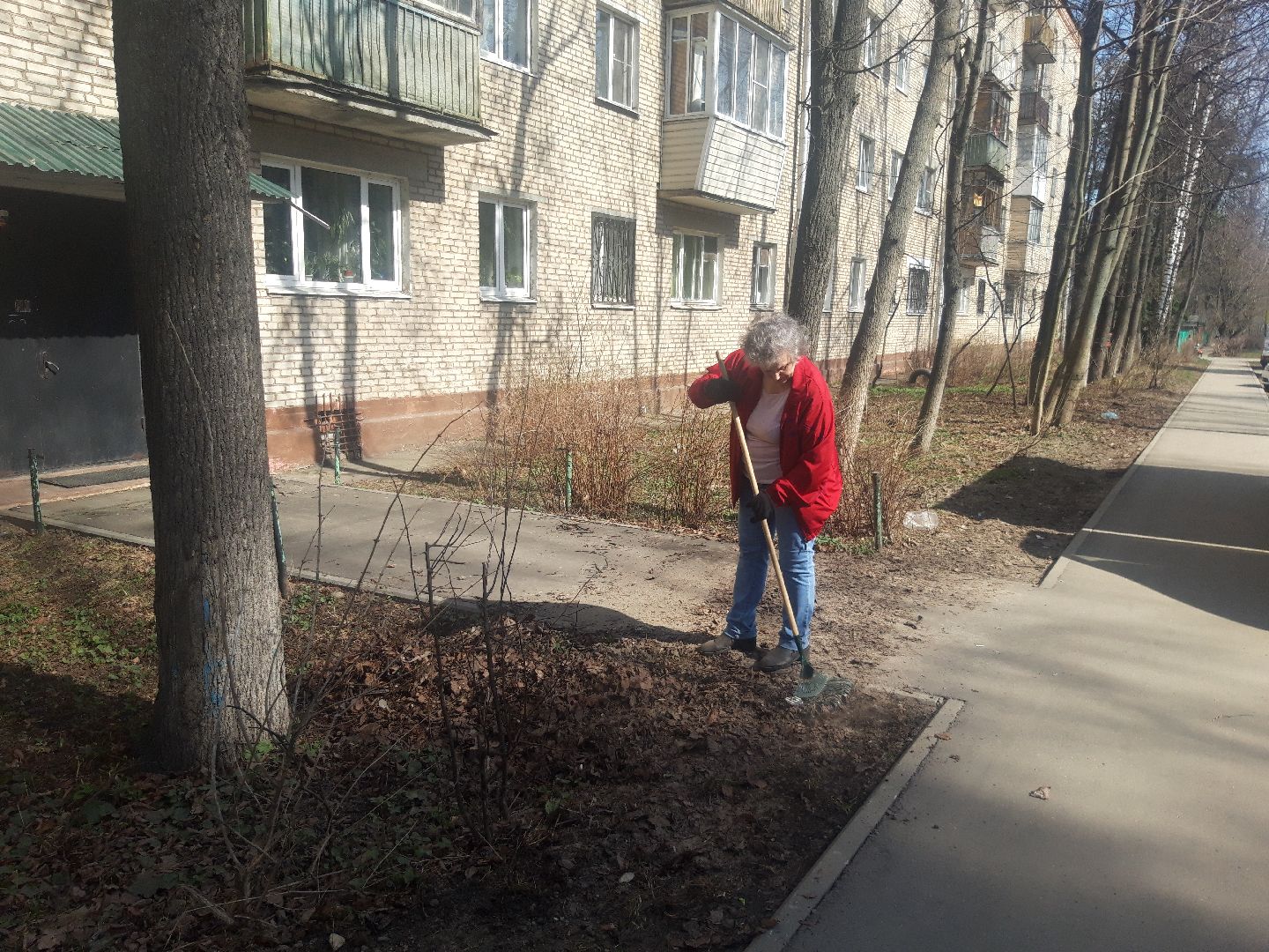 пенсионеры, доброе дело,