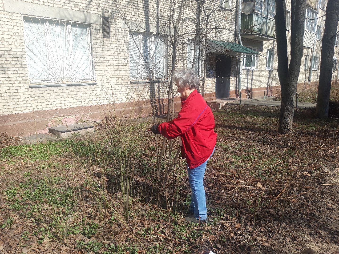 пенсионеры, доброе дело,
