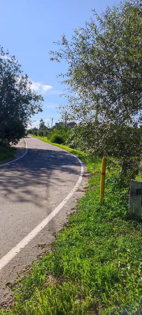 село Кудиново, деревня тимохово, богородский городской округ, выездная администрация, власть, общество, жители, водоснабжение,