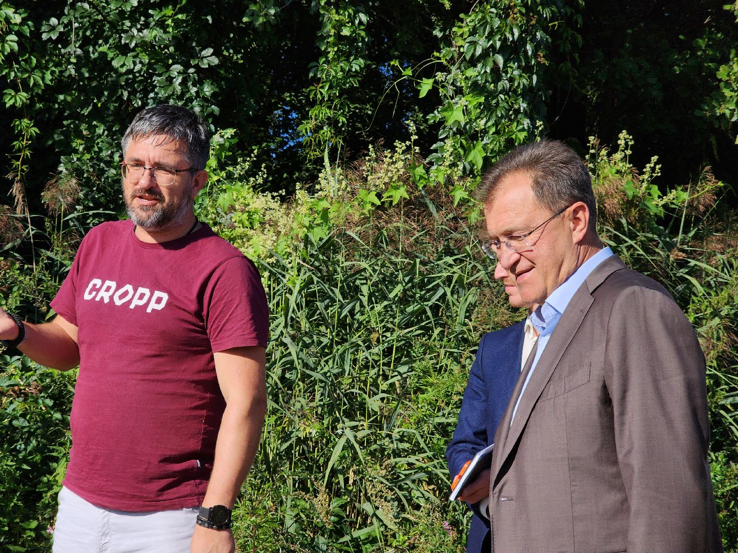 богородский городской округ, жители, общество, снт милиоратор, село кудиново,