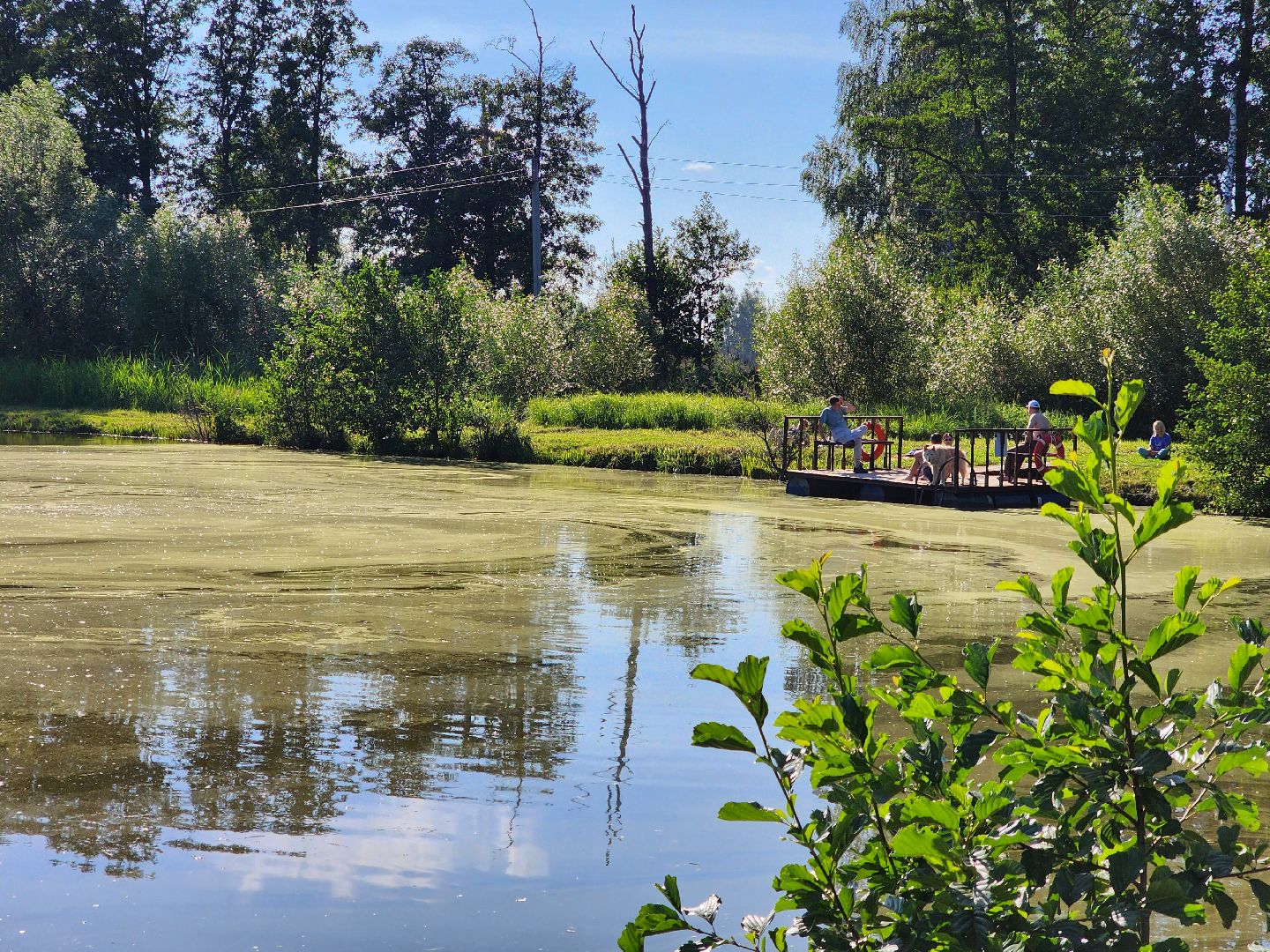 богородский городской округ, жители, общество, снт милиоратор, село кудиново,