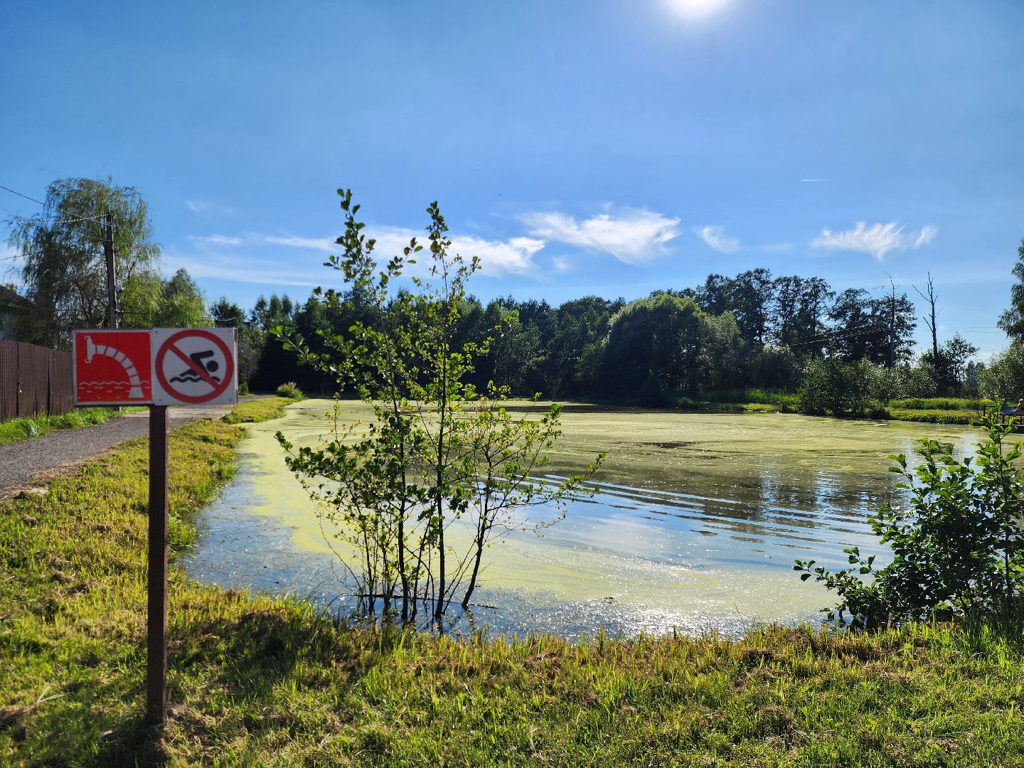 богородский городской округ, жители, общество, снт милиоратор, село кудиново,