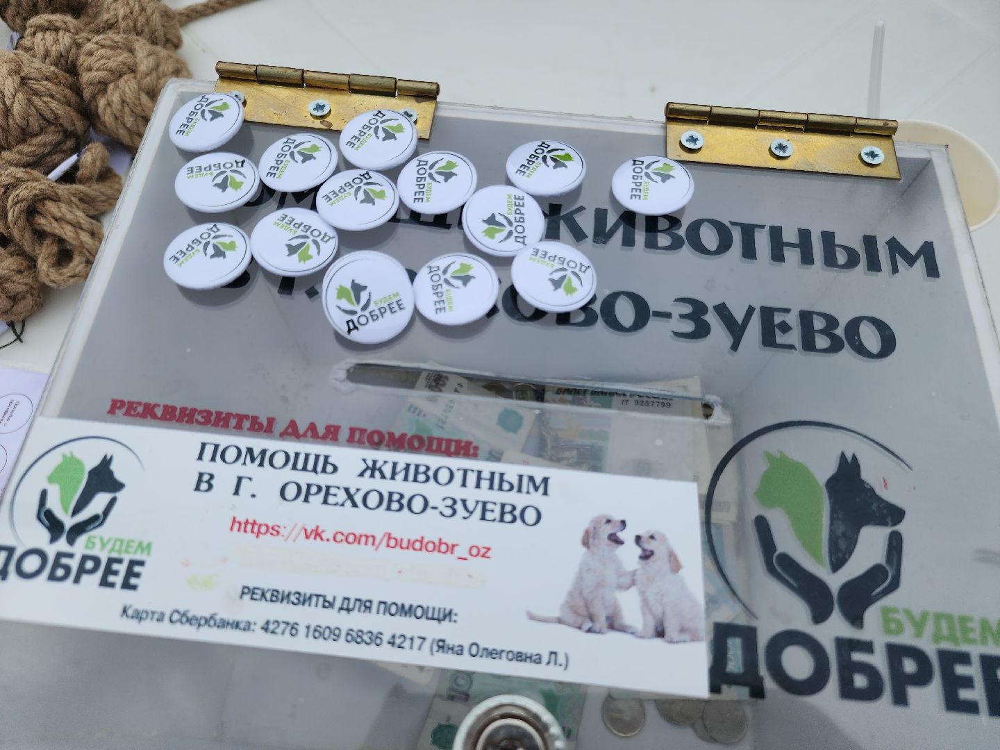 помощь бездомным животным, орехово зуево,акция в городском парке,