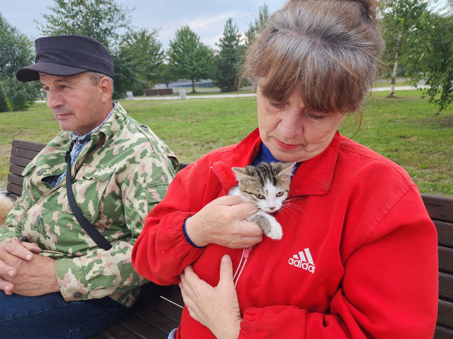 помощь бездомным животным, орехово зуево,акция в городском парке,