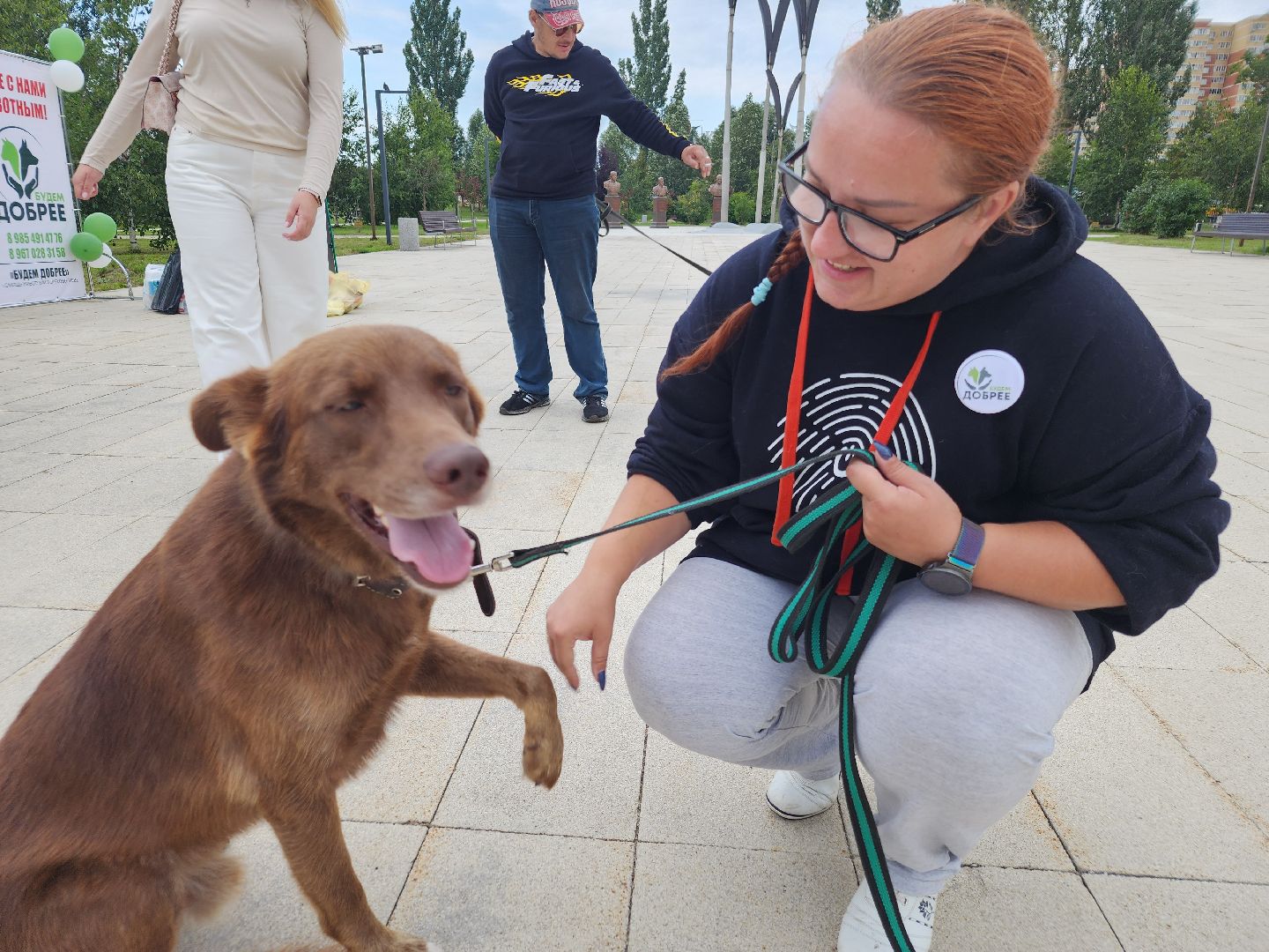 помощь бездомным животным, орехово зуево,акция в городском парке,