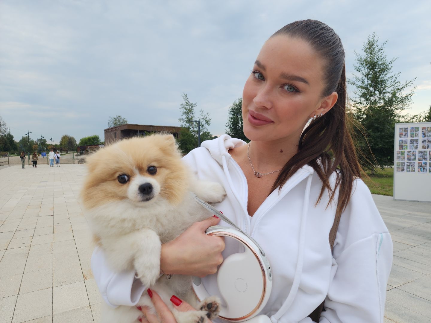 помощь бездомным животным, орехово зуево,акция в городском парке,