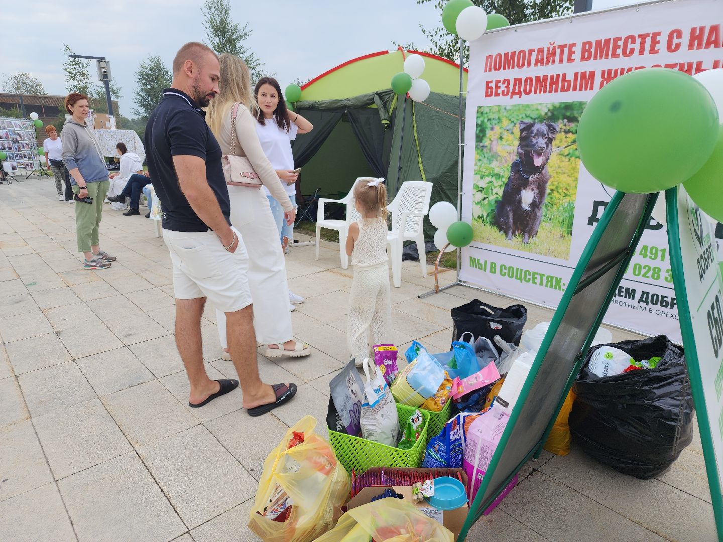 помощь бездомным животным, орехово зуево,акция в городском парке,
