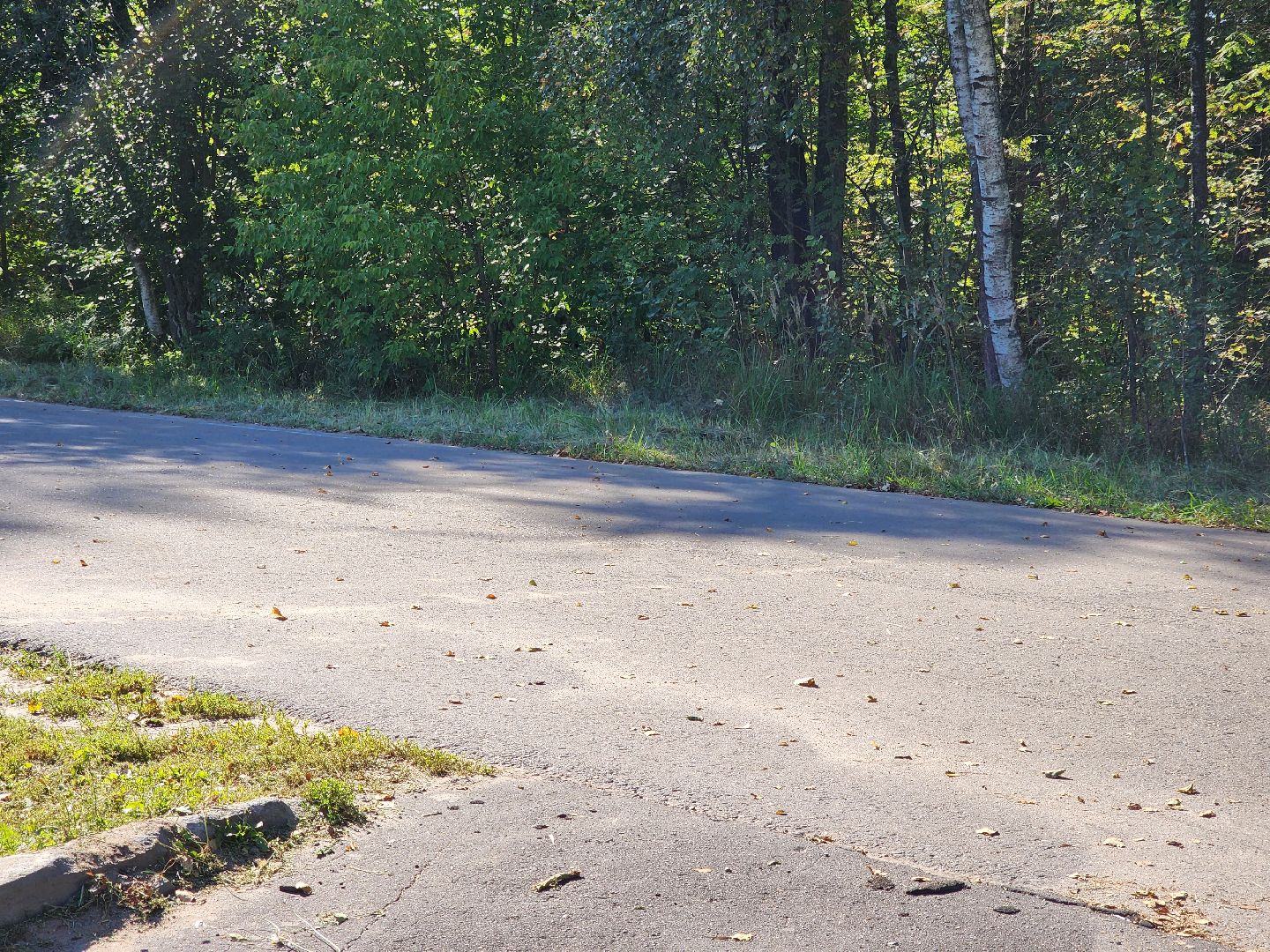 Деревня Тимохово, Жители, Общество, Дороги, Власть,