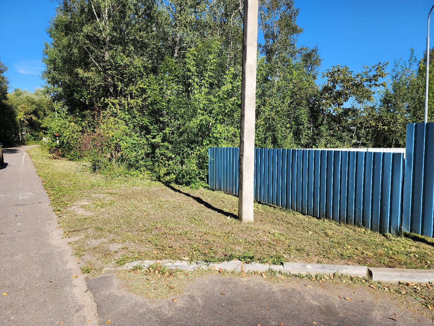 Деревня Тимохово, Жители, Общество, Дороги, Власть,