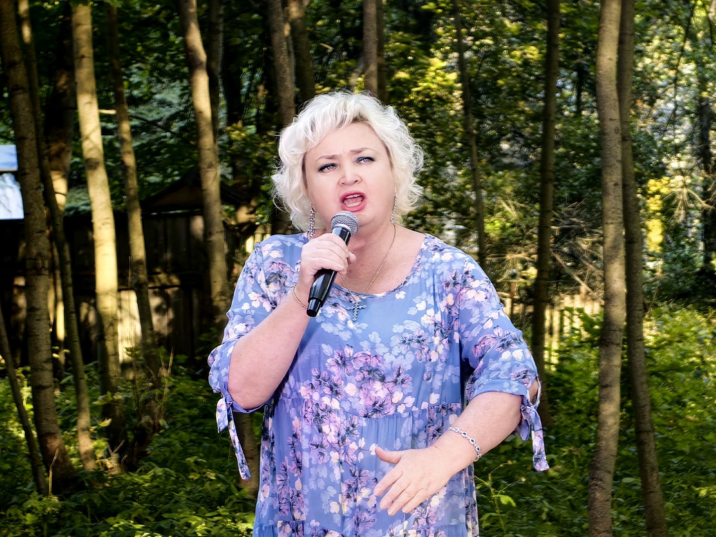 фестиваль, поэзия, стихи, песни, Анатолий Ветров, барды, поселок Загорянский,