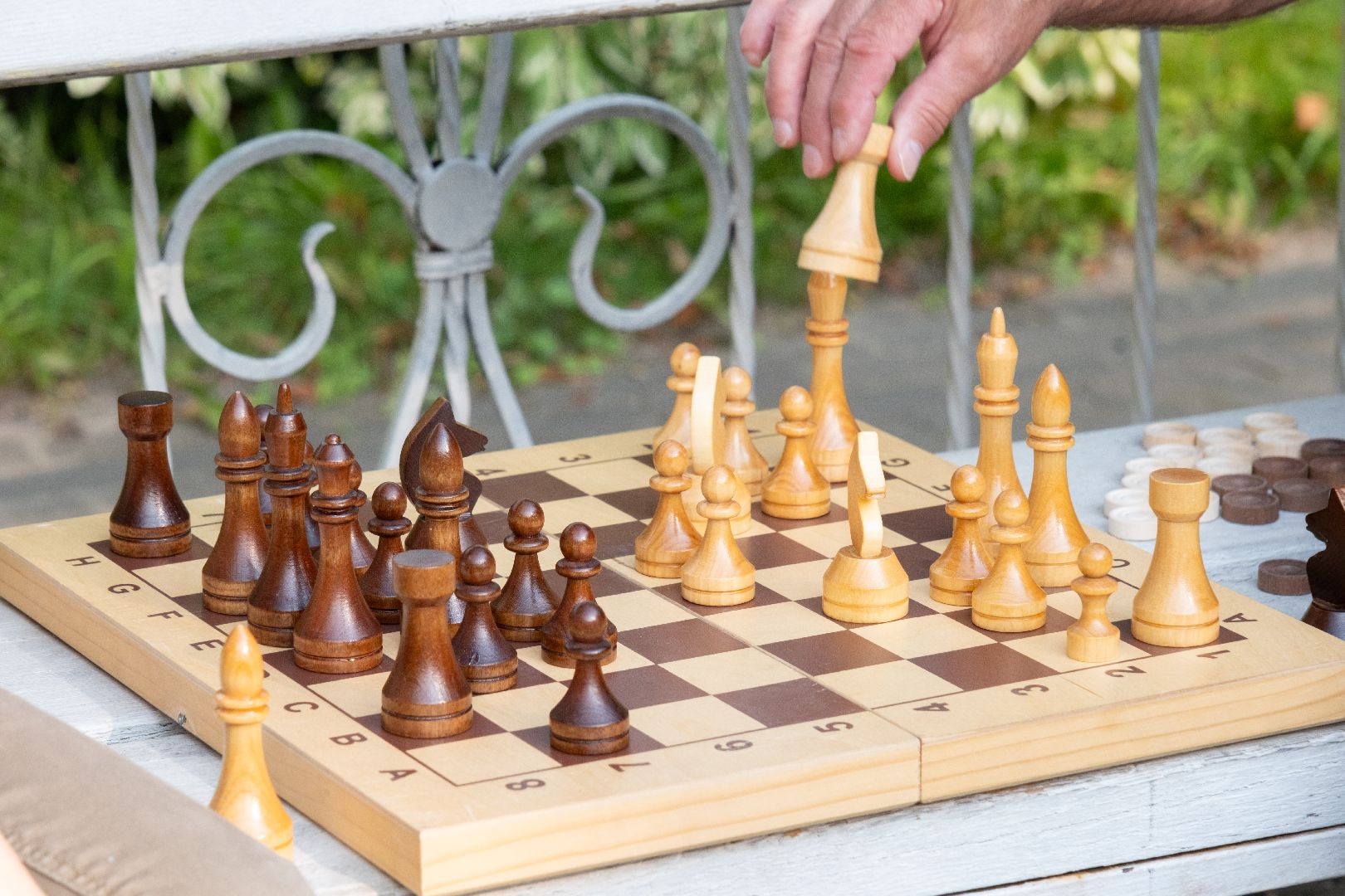 лыткарино, общество, парковое мероприятие,