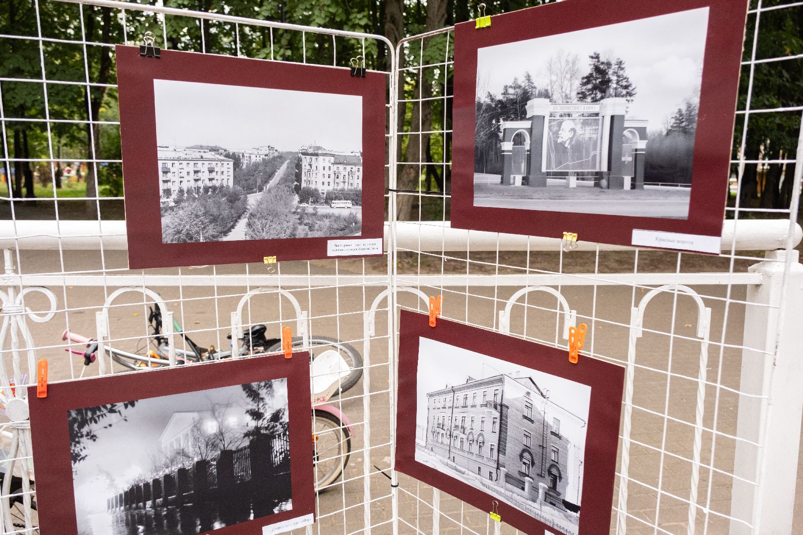 лыткарино, общество, парковое мероприятие,