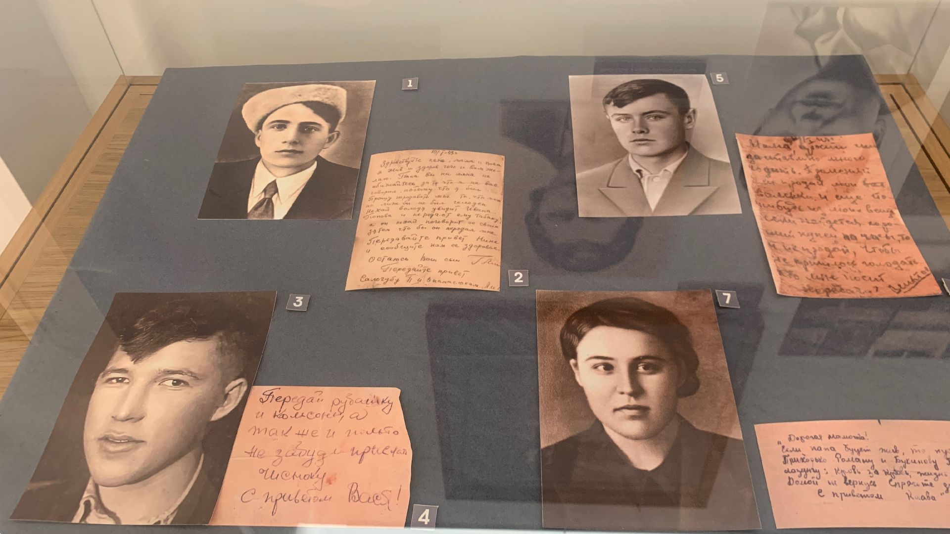 Ступино, выставка, война