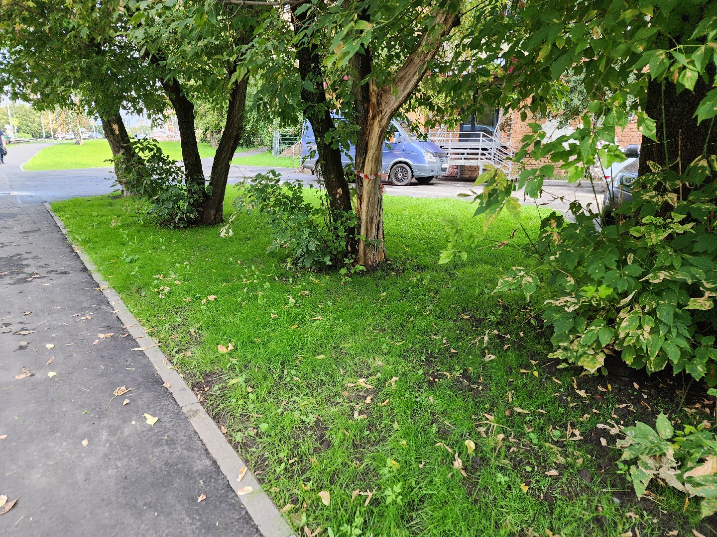 ремонт дорог, орехово зуево,