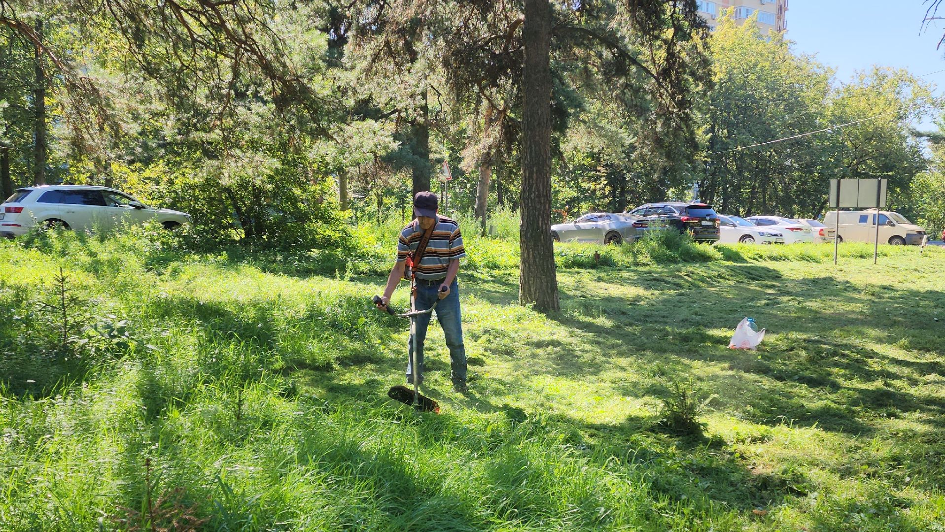 покос территории, благоустройство, противопожарная безопасность,