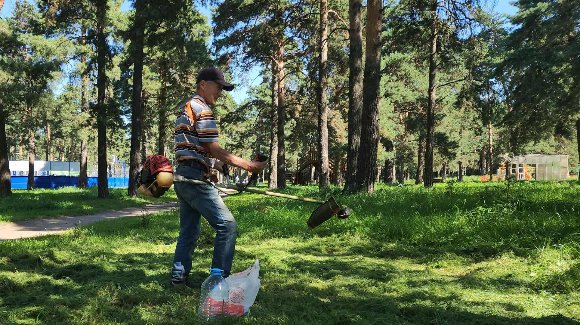 покос территории, благоустройство, противопожарная безопасность,